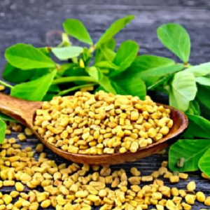 Fenugreek