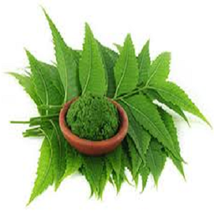 Neem